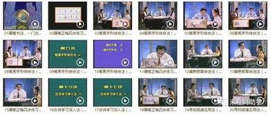 练字成人教程视频简单