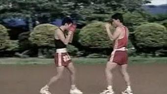 成人全天散打视频教学,实战技巧与策略解析