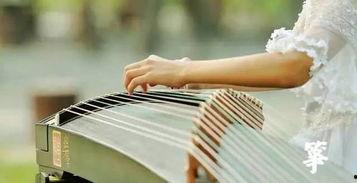 成人业余比赛古筝视频,业余选手古筝演奏精彩瞬间回顾