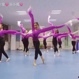 成人跳什么舞最简单视频,成人最简单舞蹈推荐