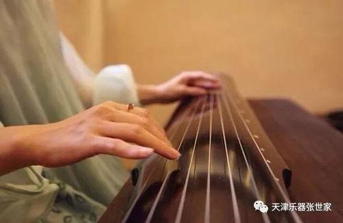 名山成人古琴演奏视频