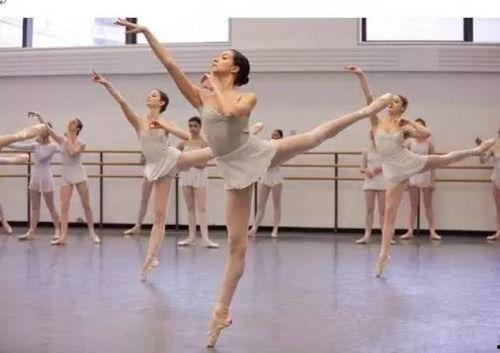 排球题材成人舞蹈视频,成人舞蹈视频的动感演绎  第2张