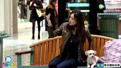 活人变成人偶搞笑视频,活人变搞笑人偶的奇幻之旅  第3张