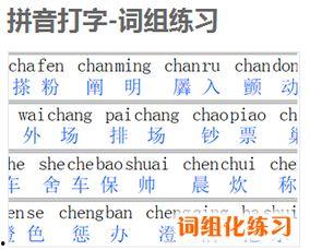 成人打字拼音教程视频